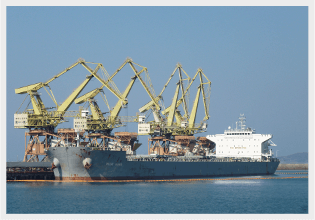 fleet img