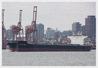 fleet img