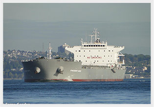 fleet img
