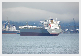 fleet img