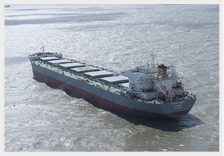 fleet img